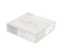 TOYANDONA Squelette de Chauve Souris Authentique Os Modèle Artisanal pour Décoration Éducative Fournitures de Classe de Sciences Objet Unique pour Maison et Halloween