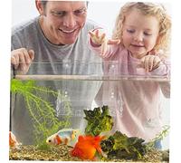 TOYANDONA Support de Plante Aquatique Suspendu pour Aquarium Pot de Culture avec Ventouse et Crochet Porte Plante Acrylique Transparent et pour de Poissons