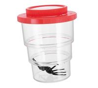 TOYANDONA Tasse D'Observation des Insectes Jouets Scientifiques pour Enfants De 3 À 5 Jouets Éducatifs pour Enfants De 3 À 4 Jouets Scientifiques pour Enfants D'Âge