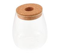 TOYANDONA Terrarium Plante Verre pour Bryophytes Mousse Bouteille Verre Transparent Hydroponique