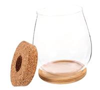 TOYANDONA Terrarium Vide Verre Transparent avec Plateau Bambou pour Micro-Paysage DIY