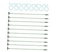 TOYANDONA Tiges pour Plantes Succulentes Support pour Fleurs Poteau De Fixation pour Plantes Support pour Pot Protection pour