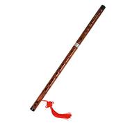TOYANDONA Traditionnelle Chinoise pour Débutants Instrument de Musique G Pratique et Durable