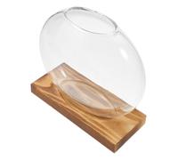 TOYANDONA Vase Hydroponique Verre pour Terrarium Pot pour Plantes Aquatiques Présentoir De Bureau avec Base pour Plantes Intérieur