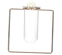 TOYANDONA Vase Mural pour Propagation de Plantes Tube de Décoration Hydroponique pour Fleurs et Plantes Artificielles Salon Bureau