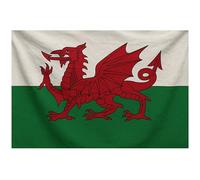 Toyland® 5ft x 3.3ft (152cm x 101cm) Grand drapeau du Pays de Galles, idéal pour les célébrations galloises - Décorations de fête - Coupe du monde et Euro
