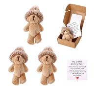 TOYMIS 3 Sets Mini Peluche Petit Ours en Boîte, My Little Worry Bear Poche Câlin Peluche avec Inspiration Carte Soutien Émotionnel Positif Cadeau pour Amis Famille Amoureux Collègues