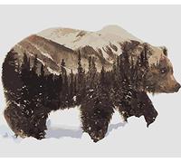 TOYOTA SUPRA GR PANDEM D1GP 2024 DAIGO SAITO RED BLACK