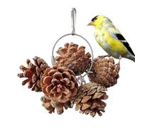 Toys de Perroquet Naturel, Pine Cone-Parrot Jouer des Trucs | Piel Witness a des Jouets de Texture Riches Ont des Jouets de Texture Riches