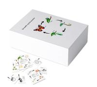 Toys du Cycle de Vie pour Les - Réutilisable Cycle de Vie Tray Présecte du kit de Science préscolaire Insecte Toys Life Cycles of Butterfly | Outil éducatif de Jeux de Puzzle innovant pour la