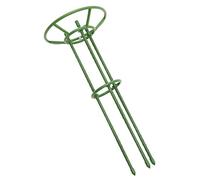 Toyvian 1 Ensemble Aire De Jeux pour Plantes Soutien Soulevé Cage De Support pour Plantes Fleurs Cages à Tomates pour Le Jardin Support pour Bâtonnets De Plants De Tomates avec Vert Le Fer