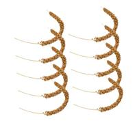 Toyvian 1 Ensemble Aliments Naturels pour Perroquets Longue Queue de Grains Séchés Naturels pour Oiseaux Friandises pour Perroquets et Petits Animaux