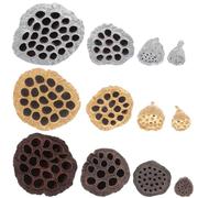 Toyvian 12 Pièces Décoration Intérieure Soi-même en Gousses de Lotus Séchées Naturelles, Solide et Résistantes, pour Fêtes de Noël et Bureaux Style Aléatoire