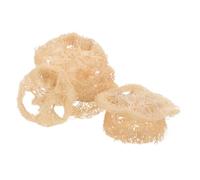 Toyvian 24 Pièces Jouets à Mâcher Luffa Naturel pour Hamsters et Accessoires de Cage pour Petits Animaux Jouets Mâchouillables Comestibles pour Dentaire et Stimulation Mentale