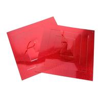 Toyvian 2pièces Lot de Pendentifs Oiseaux Réfléchissants Anti-Oiseaux avec Spirale pour