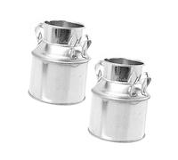 Toyvian 2pièces Mini Pot de Fleurs Métal Décoration Bonsaï pour Intérieur Accessoire Photo Seau à Fleurs Vintage Set de Seaux de Rangement de Bureau