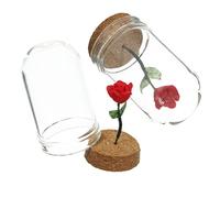 Toyvian 2pièces Miniature Flower in Glass Dome Decorative Mini Rose for Tiny House Centerpieces Unique Home Decor Simulation Flower Arrangement