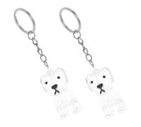 Toyvian 4 Pièces Boîte Mémoire Poils de Chien Transparent Porte-clés Collecteur Poils Animaux Coffret Souvenir Sentimental pour Rangement Cheveux de Chien