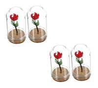Toyvian 4pièces Miniature Flower in Dome Miniature Scene Model Tiny House Centerpieces Décoration