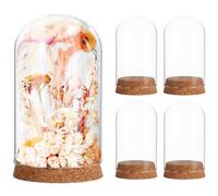 Toyvian 5 Pièces Cloche Verre Transparent avec Socle Liège Lot de Coupoles Décoratives pour Fleurs Éternelles Figurines et Micro Paysages Vitrine Élégante pour Présentation et Protection