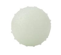 Toyvian Balle Lumineuse pour Chien Jouet Résistant Aux Morsures Entraînement pour Chiot pour Dents De Lait