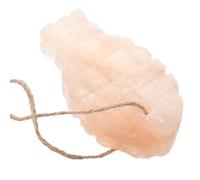 Toyvian Bloc Minéral Sel Naturel pour Petits Animaux Forme Poisson Perforé Éléments Nutritifs Bloc à Lécher pour Lapin Hamster et Rongeurs Accessoire Pratique