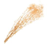 Toyvian Bouquet de Fleurs Séchées Gypsophile Beige Élégant et Naturel pour Décoration de Table sans Arrosage Ambiance Automne