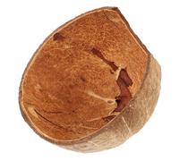 Toyvian Cachette Reptiles Naturelle Coque De Noix Vide Refuge Tropical pour Terrariums Reptiles Décoration Écorce Cocotier Abri Humidité pour Gecko Léopard Et Petits