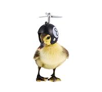Toyvian Casque De Poulet 2 Pièces Casque De Protection en Plastique pour Animaux De Compagnie Léger Et Amortissant pour Soleil Et Pluie Accessoires Amusants pour Poules Et Volailles