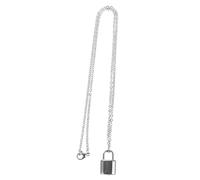 Toyvian Collier pour Les Cendres d'un être Cher Bijoux commémoratifs pour Les Cendres Collier d'urne en Acier Inoxydable Chien Urnes pour Cendres Collier Souvenirs pour Les Cendres Silver