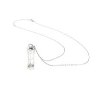 Toyvian Collier Urne Funéraire Inoxydable pour Cendres Danimaux Pendentif Sablier Commémoratif Durable Souvenir pour Garder Votre