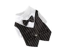 Toyvian Costume De Costume pour Animaux De Compagnie Chiot Manteau Chiens Race Chienchien Velu Tenue De Chien Mariage Vêtements Maman Ups Mode Smoking Tissu De Robe De Chien Black