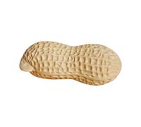 Toyvian Décoration Intérieure Cacahuète Artificielle 30 CM Accessoire Photo Géant en Résine Robuste Fausse Cacahuète Réaliste pour Décoration Originale et Ludique