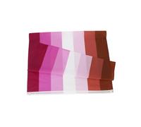 Toyvian Drapeau Lesbien 90X150 CM en Polyester Résistant, Grand Drapeau Arc-en-Ciel Lumineux Œillets en Laiton, Décoration Extérieure pour Fierté Lgbt, Gay et Bisexuelle, Jardin et