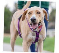 Toyvian Étiquette Identification Personnalisable pour Animaux Pendentif Rond Perte avec Gravure DIY Accessoire Collier Chien et Chat Pratique et Sûr