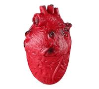 Toyvian Faux Cœur d'halloween, Cœur Anatomique Réaliste Et Sanglant, Parties du Corps Humain Effrayantes, Accessoires d'horreur pour Décorations d'halloween, Farces de Zombies,