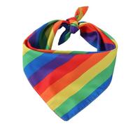 Toyvian Foulard Triangle Arc-en-Ciel pour Animaux De Compagnie Foulard avec Nom Fournitures De Fête d'anniversaire pour Chien Promenade De Chiens Bandana pour Chien Bavoirs