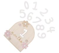 Toyvian Growth Monthly Tracker Cards Wooden Double-sided Newborn Milestone Signs With Daisy Flower Design Growth Photo Props For Monthly Age Tracking And Keepsake