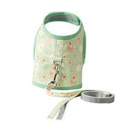 Toyvian Harnais pour Chat avec Laisse Design Motif Avocat Maille Souple Et Respirante pour Liberté De Mouvement