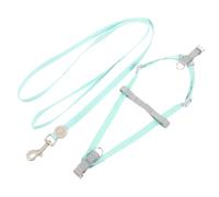 Toyvian Harnais pour Chaton Anti-évasion avec Laisse Ensemble Harnais Et Laisse pour Chat Facile à Utiliser Et Ajustable