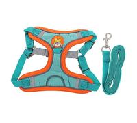 Toyvian Harnais pour Petit Chien Kit De Harnais pour Animaux De Compagnie pour Chien Assistance De avec Laisse