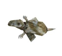 Toyvian Hoodie Dino Peluche pour Costume Chaud pour Animaux de Compagnie Vêtements Cosplay Halloween