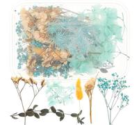 Toyvian Kit de Fleurs Séchées Pressées 1 Boîte pour Résine et Nail Art, Accessoires Décoratifs pour Bougies, Savons et Créations DIY, Fournitures de Résine Naturelles pour Décoration