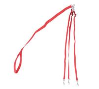 Toyvian Laisse Entraînement Nylon Triple Durable pour Petits Moyens pour Activités Extérieures