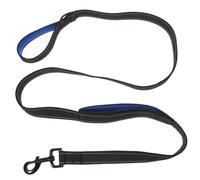 Toyvian Laisse pour Chien à Double Poignée Ergonomique et Robuste en Nylon, Taille Moyenne, pour Promenade Extérieure et Dressage, Convient aux Chiens de Compagnie