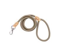 Toyvian Laisse pour Chien en Nylon Robuste, Corde Ronde 1 Cm x 1,25 M, Beige, Laisse D’entraînement pour Animaux Actifs, Adaptée à Toutes Races