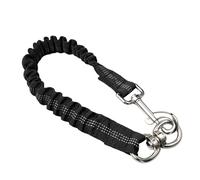 Toyvian Laisse Robuste Élastique Nylon pour Chien D'extension en Réfléchissant Petits et Moyens Chiens Lors Randonnée Jogging en Extérieur