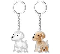 Toyvian Lot de 2 porte-clés collecteurs de poils de chien - Porte-clés transparent pour ranger les poils d'animaux de compagnie - Porte-clés souvenir en fourrure pour recueillir les poils d'animaux