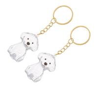Toyvian Lot de 2 Porte-clés Souvenir en Poils de Chien : étui Transparent pour Souvenir commémoratif de Chien, breloque de et Porte-clés Multi-usages