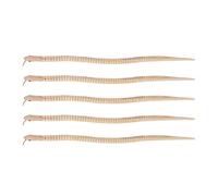 Toyvian Lot de 5 Serpents Articulés en Bois Naturel 30 CM Serpent Réaliste pour Halloween Bricolage Créatif et Récompenses Scolaires à Peindre Présents pour Pochettes Surprises
